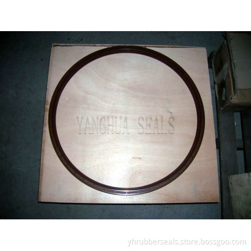 FKM Big Oil Seal